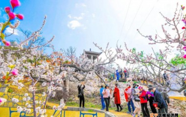 丹东孤山镇：旅游产业遍地开花