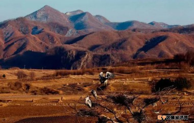 丹东刘家河镇：打通致富路，提升幸福感！