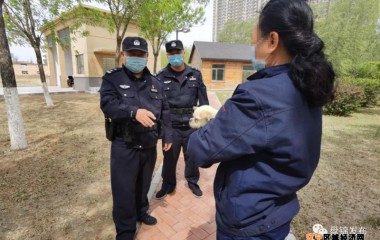 无牌证还不拴绳，盘锦公安开出首张“遛狗罚单”