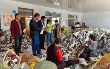 康平西关屯乡罗家屯村：以党建为引领实现富民增收