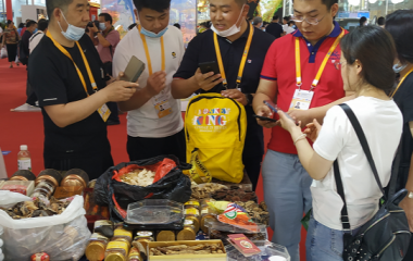 丹东5家企业亮相中国首届消博会