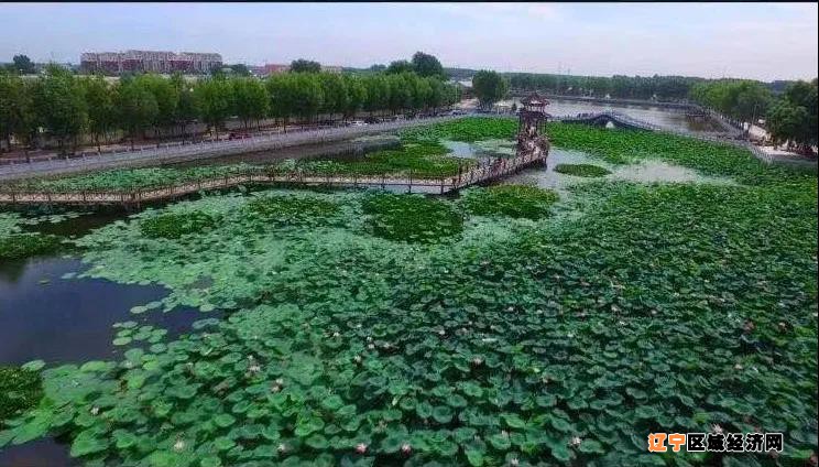 微信图片_20210514111306