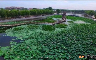 辽中区多措并举推动数字乡村发展试点工作