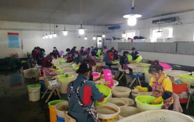 盘锦市仅此一家，辽宁获批基地八个