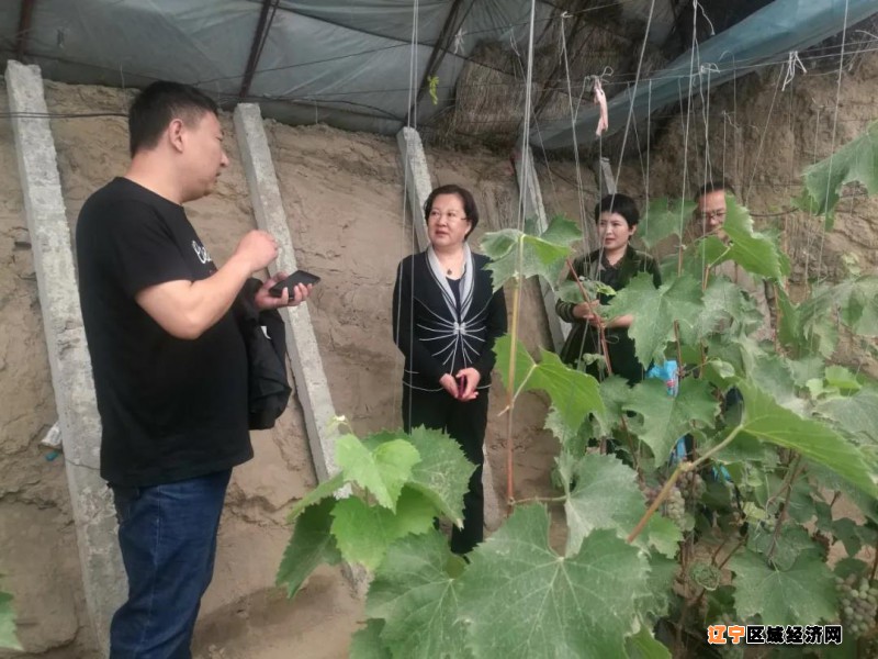 微信图片_20210519073144