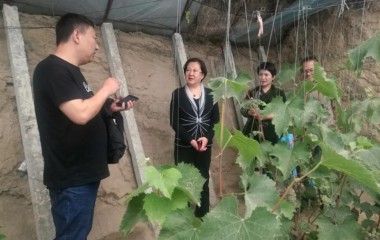 辽中区总工会调研劳模助力乡村振兴以及基层工会建会入会工作