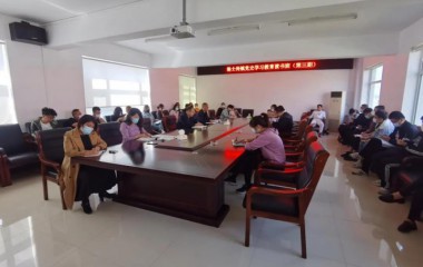 辽中杨士岗镇开展党史学习教育读书班集中学习活动