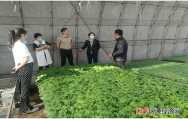 辽中：以劳模引领激发乡村振兴新活力
