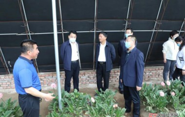 锦州市人大到义县调研三变改革工作