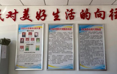 康平县胜利街道孔家窝堡村：推进“三型”党组织建设，打造宜居乡村