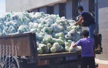 营口市教育局统购农民朋友滞销果蔬