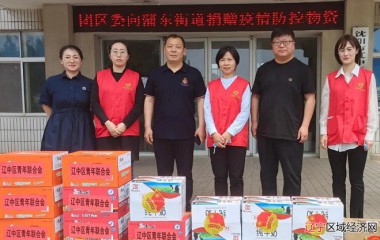 团辽中区委为一线医护人员送上慰问物资