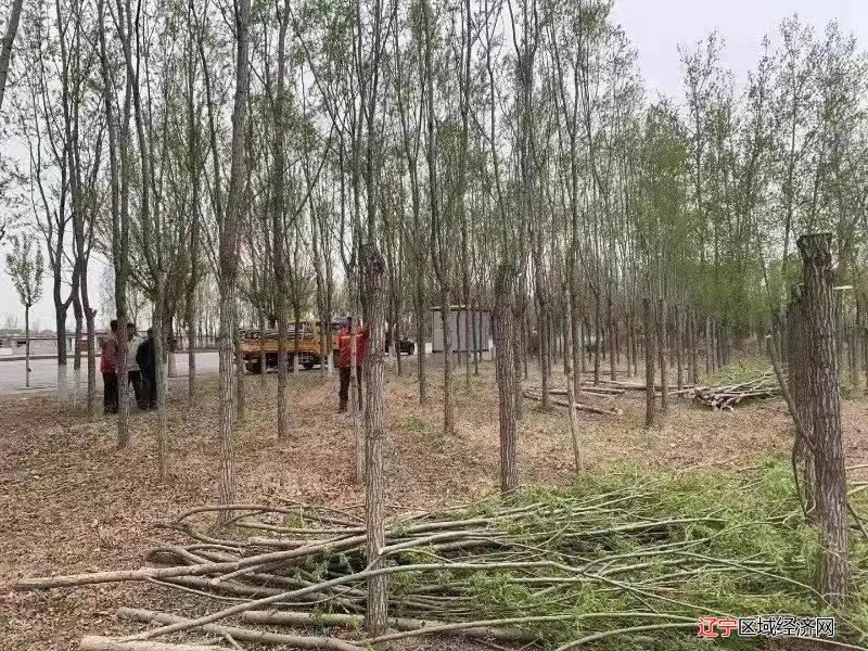 微信图片_20210526072711