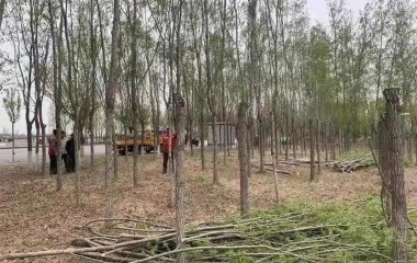 菜农的后顾之忧没了