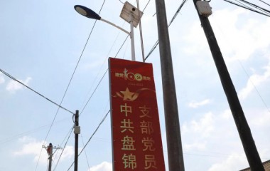 盘锦：为百姓办实事，把电力服务触角延伸到基层