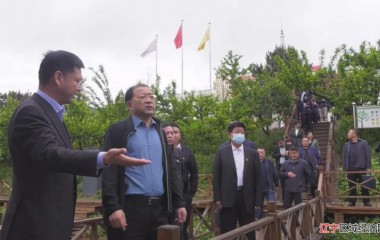 阜蒙县委书记刘彦鸿到新民镇调研