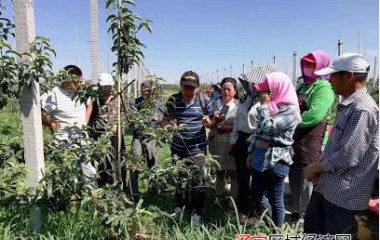 做带领村民致富路上的领路人