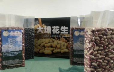 康平县北三家子街道苇塘村全力打造“三型”党组织