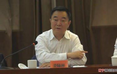 阜蒙县委书记刘彦鸿、代县长包峰会见正大集团负责人洽谈项目建设开工事宜