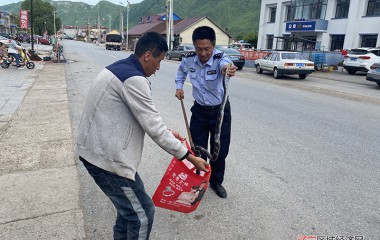 危急时刻，民警徒手抓蛇解民忧