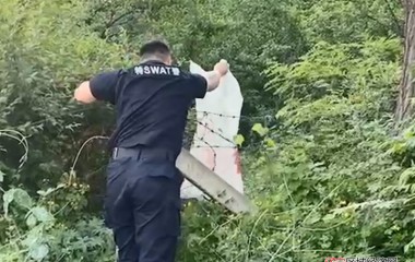 桓仁特警徒手擒蛇，及时消除安全隐患