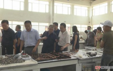 阜蒙县政协举办诗书画印主题交流笔会
