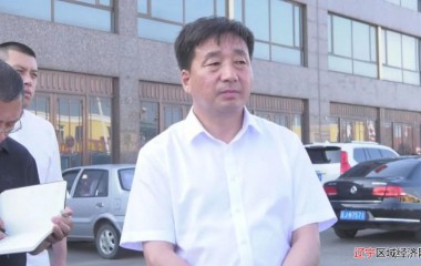阜蒙县委书记刘彦鸿一行镇调研玛瑙节筹备情况
