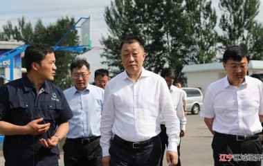 铁岭市委书记宋诚调研凡河新区水污染治理和辽河生态保护工作