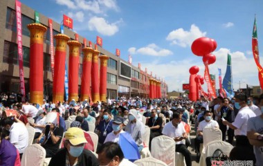 2021年中国观赏石博览会暨中国·十家子第十六届玛瑙文化旅游节盛大开幕