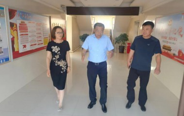 阜蒙县委书记刘彦鸿以“四不两直”方式调研社会稳定等情况