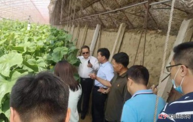 辽中区供销社机关党支部组织开展“党旗在基层高高飘扬”主题活动