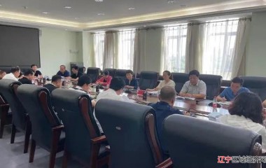 辽中区召开创卫调度会议