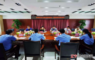 省政法队伍教育整顿第一指导组到辽中区人民检察院下沉指导工作