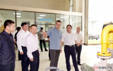盘锦市长汤方栋调研数字产业化和产业数字化工作