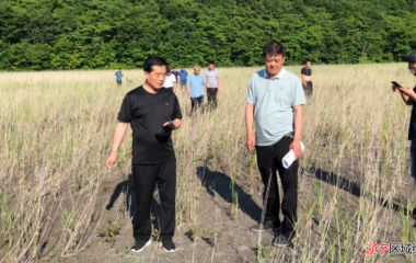 省应急厅检查组深入大川头镇检查安全生产工作