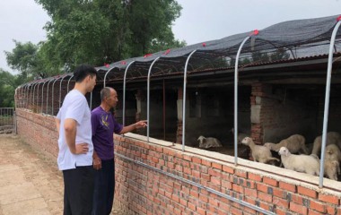 康平北四家子乡菜园子村：打造为民服务党支部