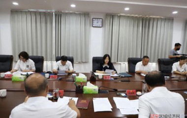阜蒙县委书记刘彦鸿讲专题党课