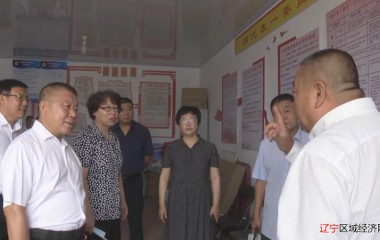 阜蒙县政协视察提案办理情况