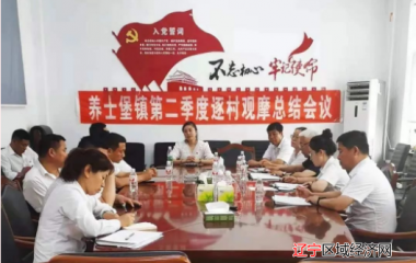 辽中区养士堡镇开展第二季度“逐村观摩、整镇推进”观摩活动