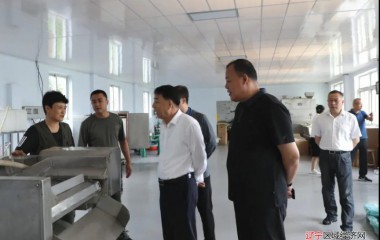 锦州市人大常委会到义县视察落实乡村振兴战略情况