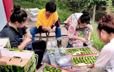 丹东：特色产业鼓起村民“钱袋子”