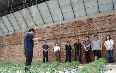 辽宁省农业科学院到西官营镇西官营村开展党建结对工作