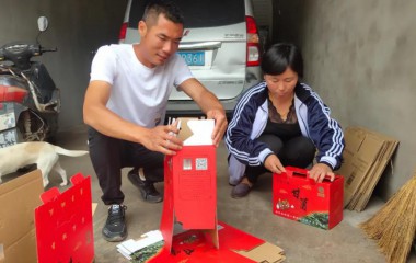 康平两家子乡：产业“造血”绘就秀美乡村新画卷