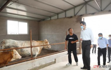锦州市委书记靳国卫到义县帮扶联系点实地调研