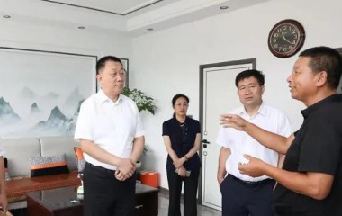 铁岭市委书记宋诚调研督导农村乱占耕地建房清理整治等工作