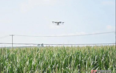 义县：无人机田间飞防作业，科技助农保丰收