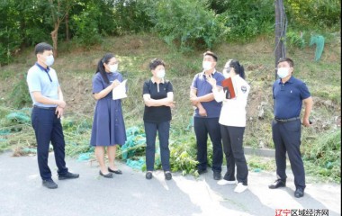 凌河区委书记于鹏调研大气污染防治工作