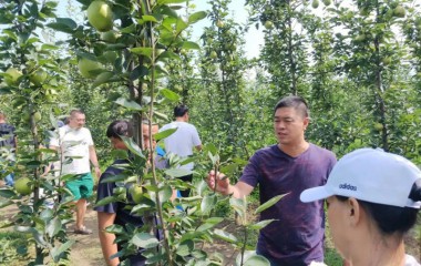 锦州市科学技术局到义县开展技术成果调研指导活动