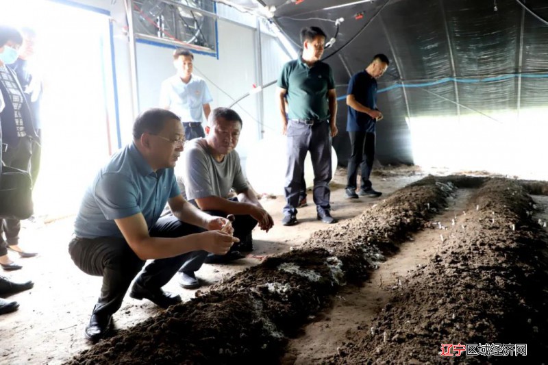 微信图片_20210820150433