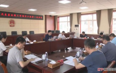 阜蒙县召开民生实事项目人大代表票决制工作领导小组第一次会议